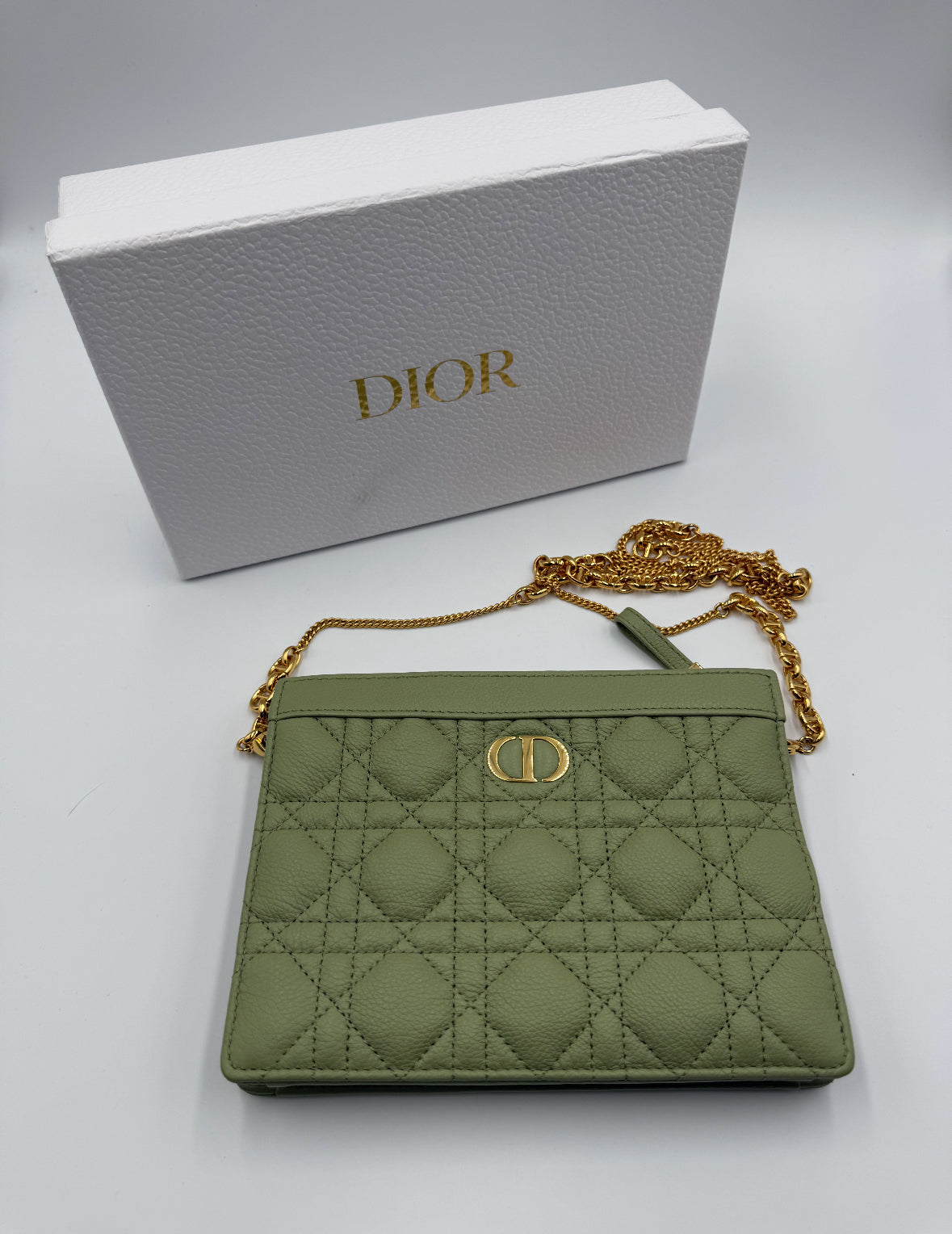 Dior Caro Zippered Pouch