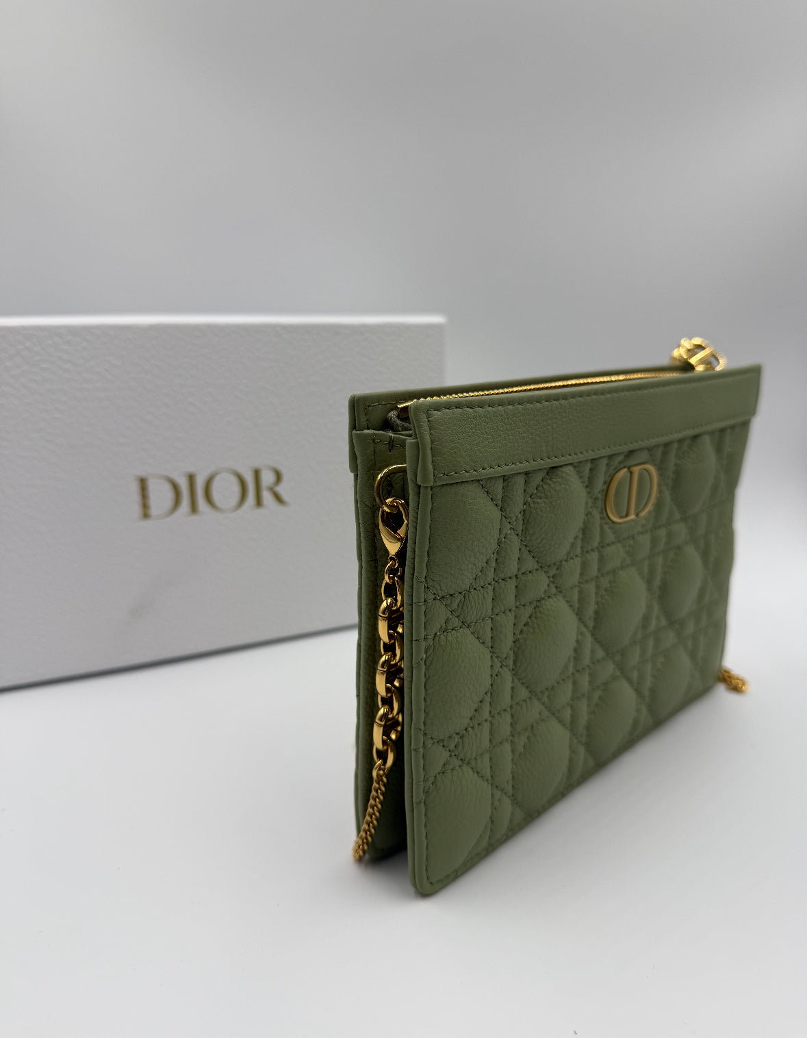 Dior Caro Zippered Pouch