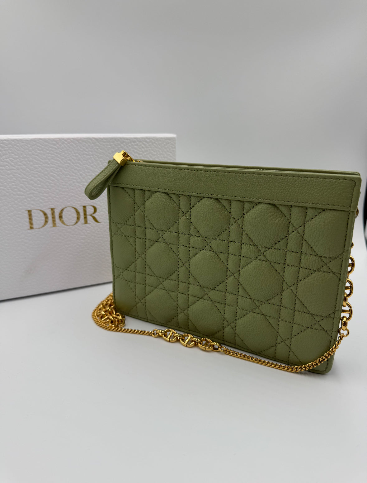 Dior Caro Zippered Pouch