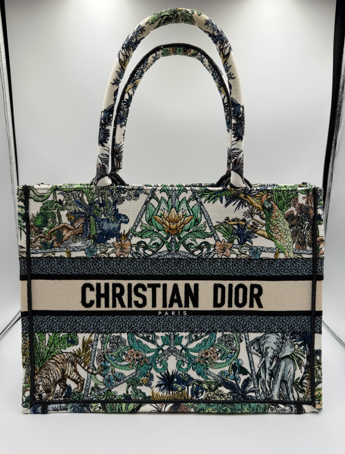 Christian Dior Book Tote