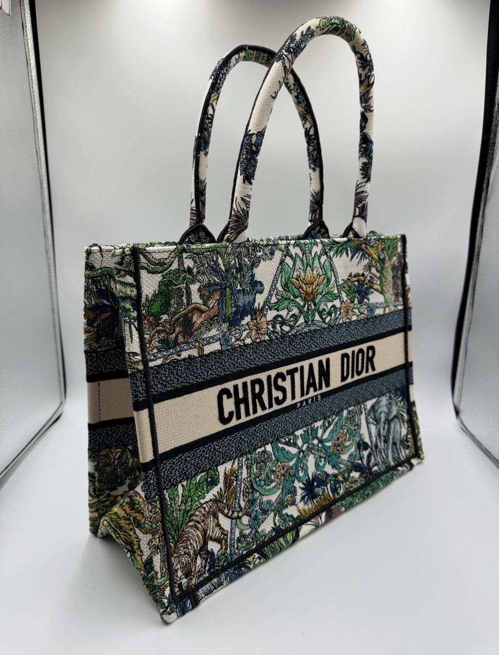 Christian Dior Book Tote