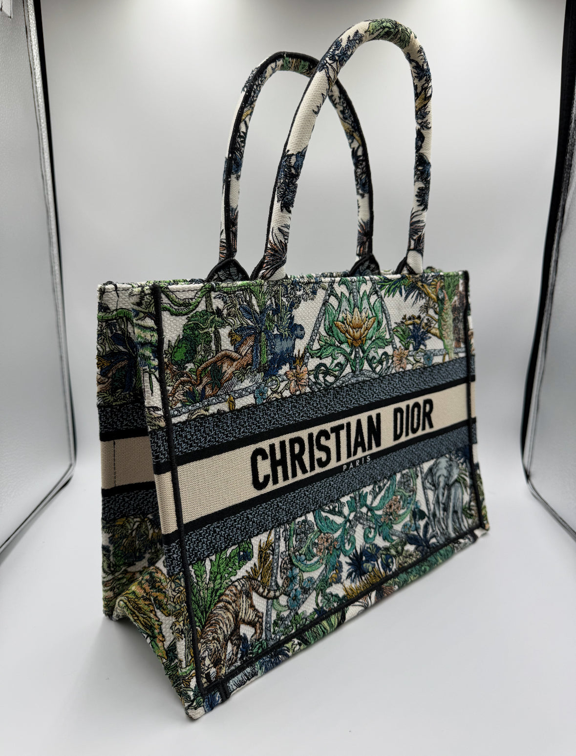 Christian Dior Book Tote