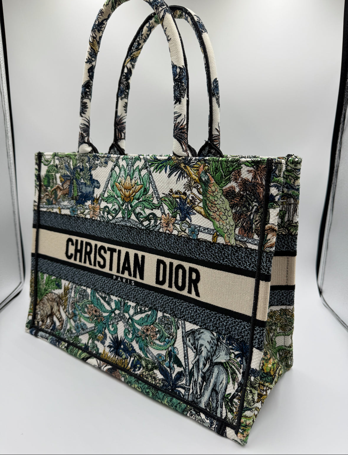 Christian Dior Book Tote